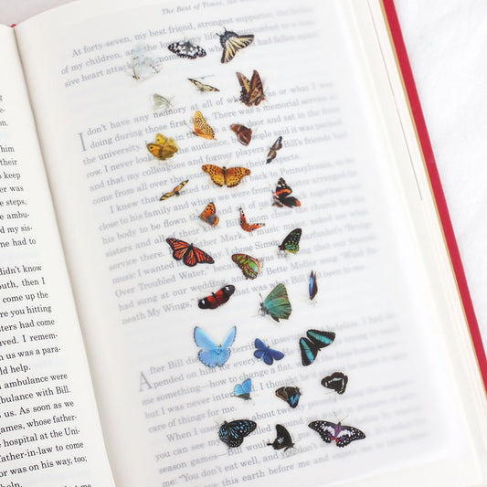 Nature - Butterflies
