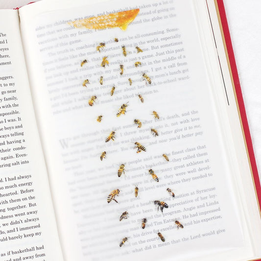 Nature - Bees