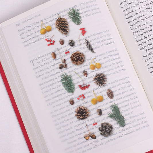 Nature - Pinecones