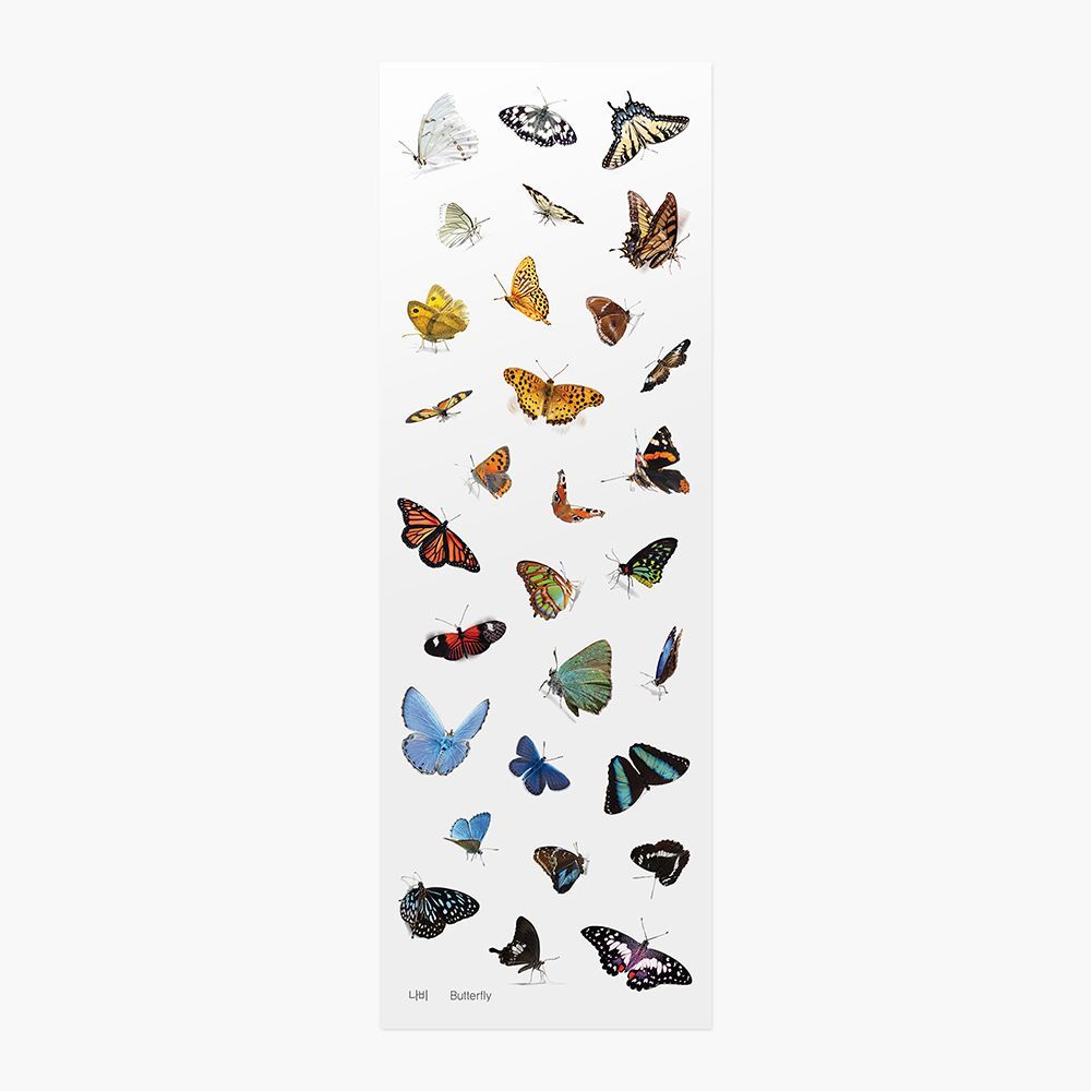 Nature - Butterflies