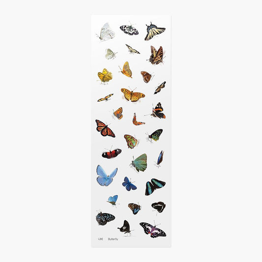 Nature - Butterflies