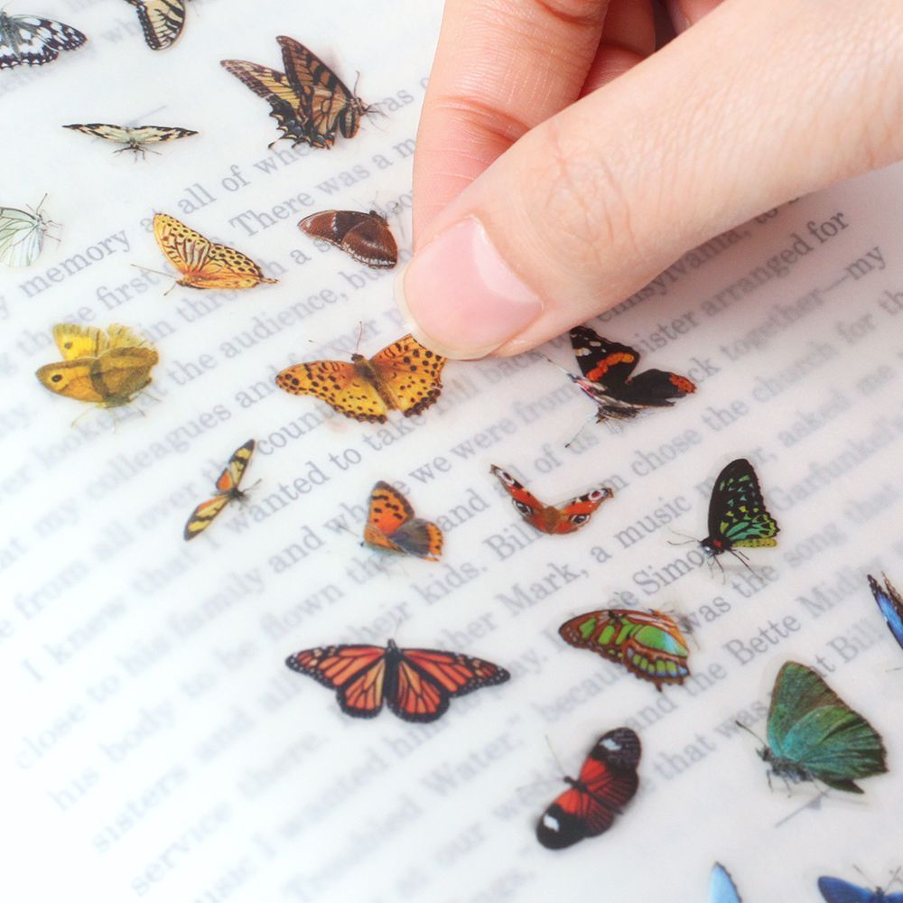 Nature - Butterflies