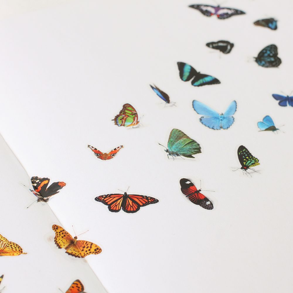 Nature - Butterflies