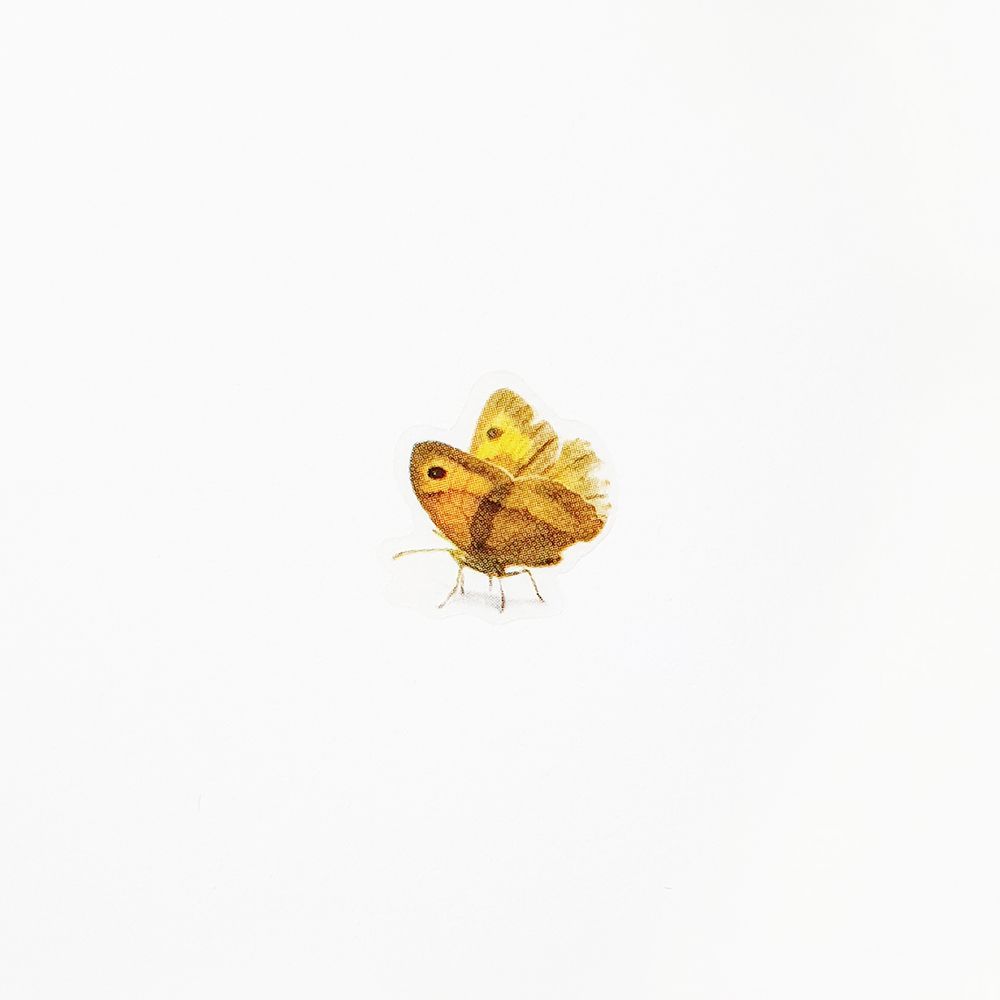 Nature - Bees