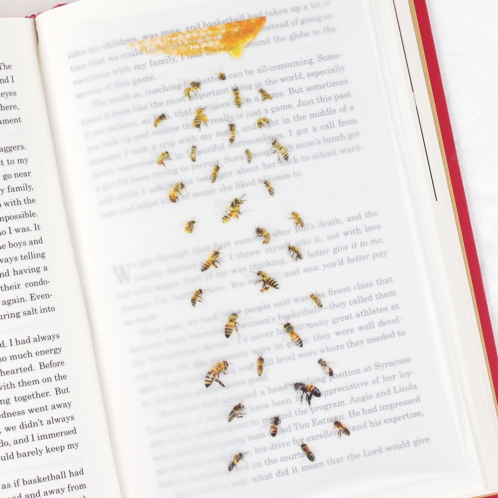 Nature - Bees