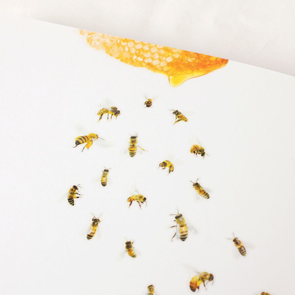 Nature - Bees
