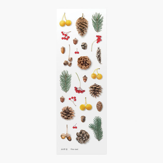 Nature - Pinecones